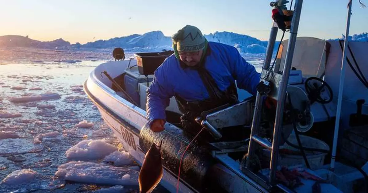 'It's too warm': Greenland's fishermen are under threat from climate change