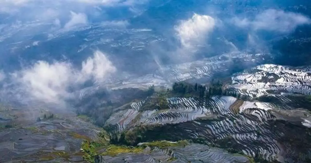 Visitors become entrepreneurs, discover opportunities in Yunnan