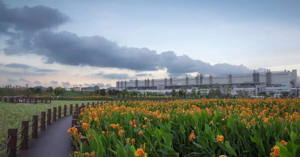 TCL is a "Doer": Embedding ESG to Create Positive Impact across the Global Value Chain