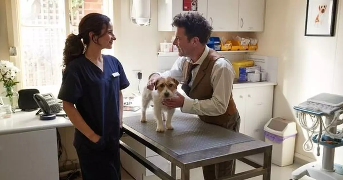 Celebrate National Puppy Day: Budget Direct Pet Insurance Highlights the Joy of New Beginnings and Lifelong Pet Wellness
