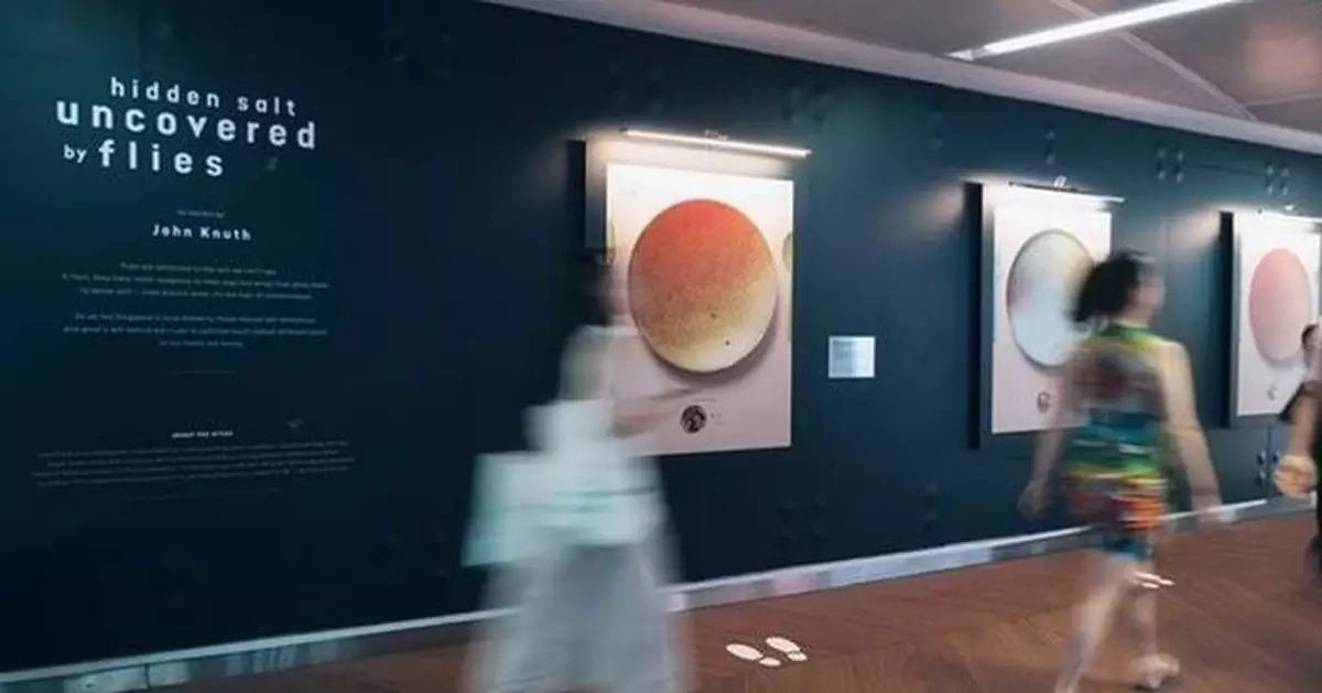 Artist Uses Flies to Reveal the Truth About Sodium