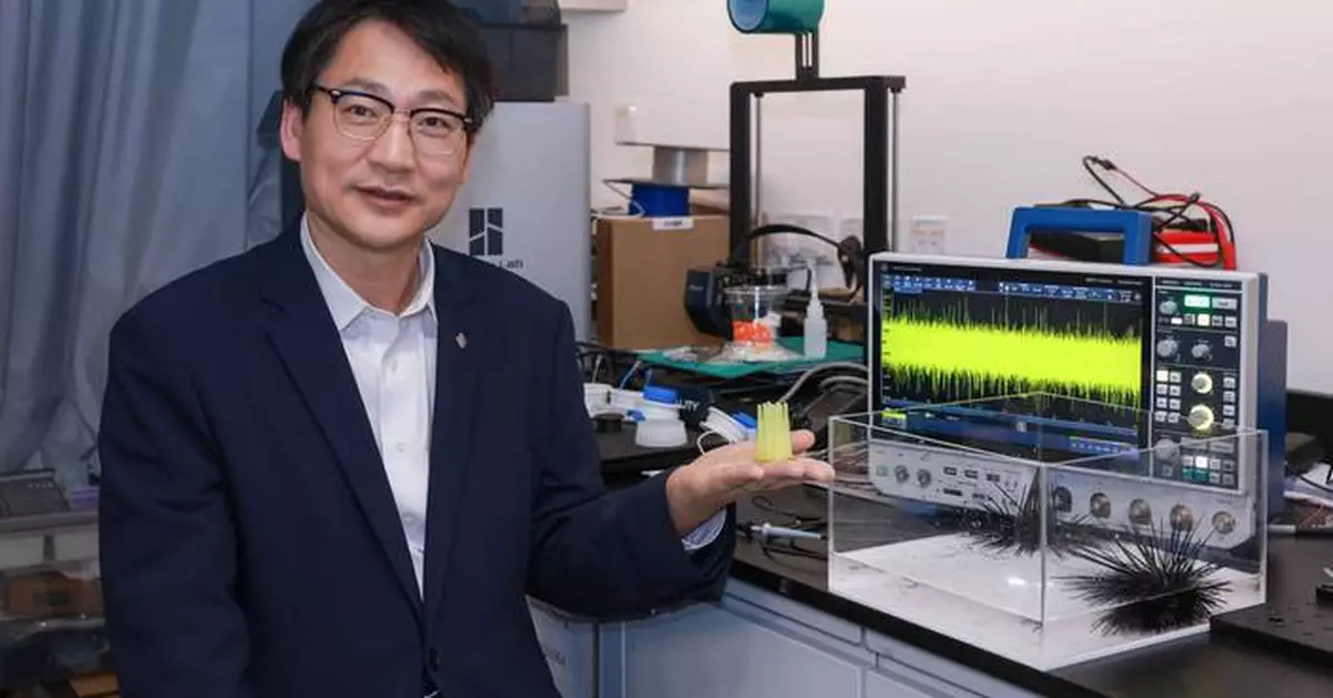 PolyU research unveils mechanoelectrical perception in sea urchin spines, empowering next-generation biomimetic sensors