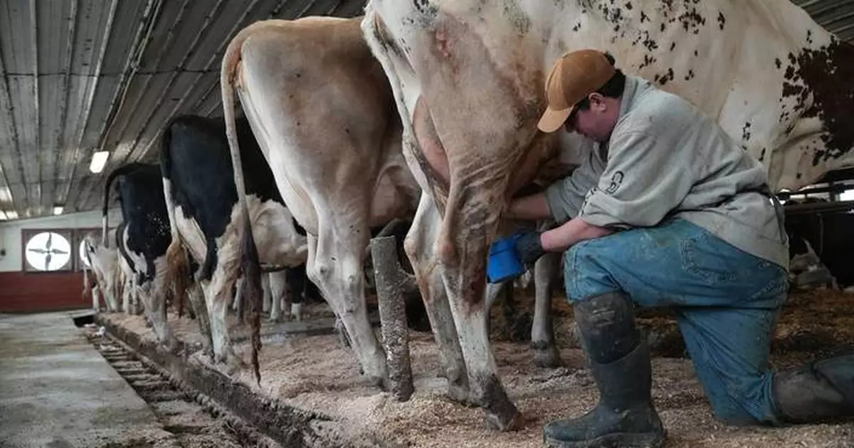 Push for raw milk intensifies across the US, despite illness outbreaks and scientists' warnings