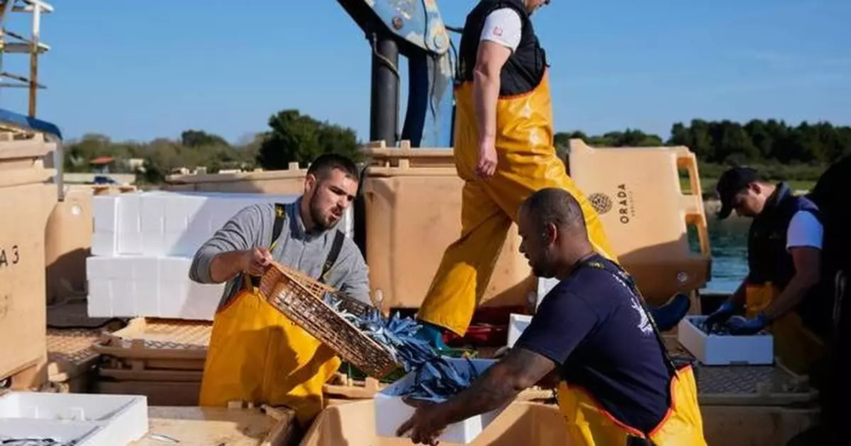 Croatian fishermen feel the strain after Iran war ramps up fuel prices