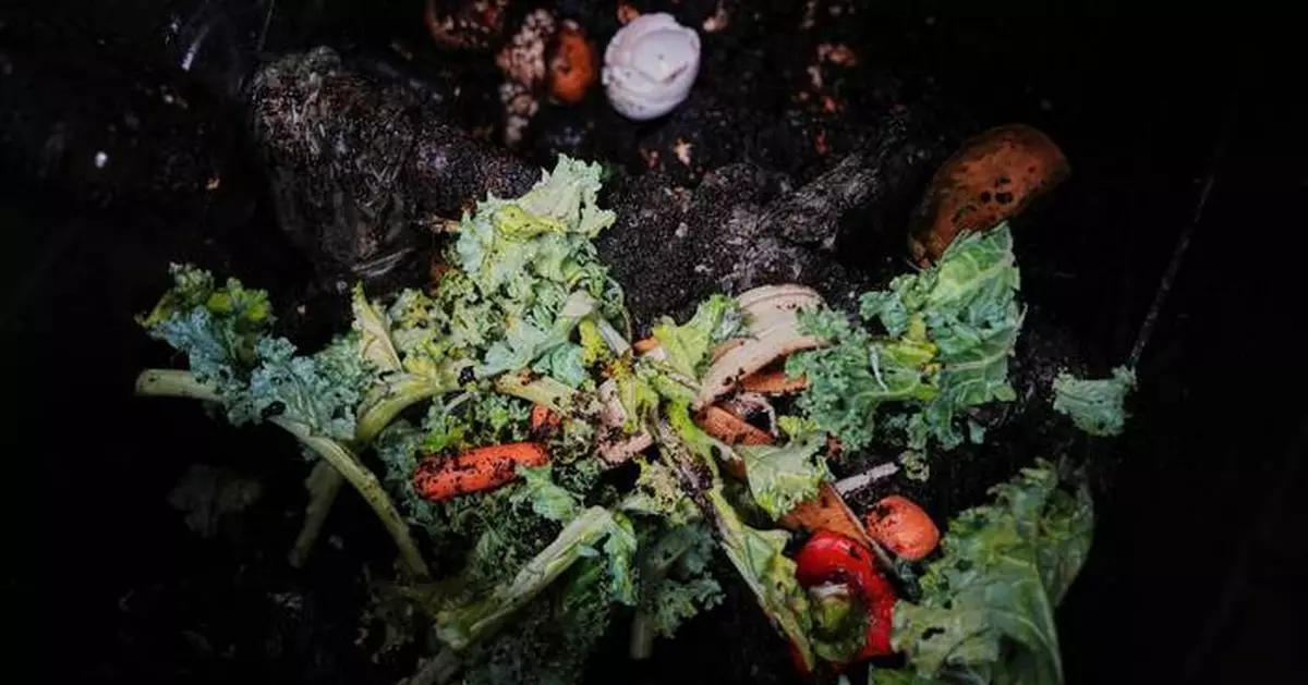 Still unsure about composting? Here's why and how to make 'black gold' for the garden