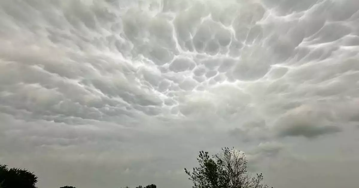 You're probably paying more for insurance lately. A new study suggests federal action to cut costs