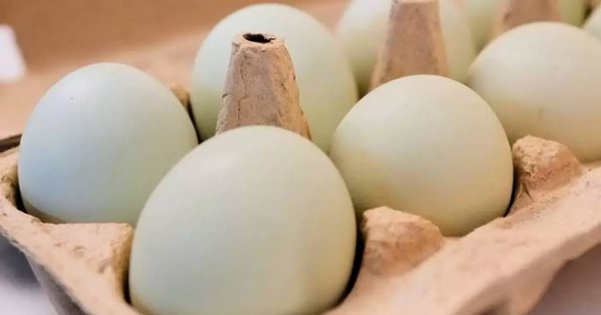 Eggs for Easter cost much less in the US than last year. A look at the numbers