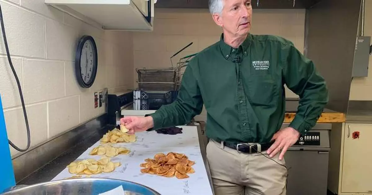 Researchers have spent decades breeding better potatoes for chips, and their work isn't done