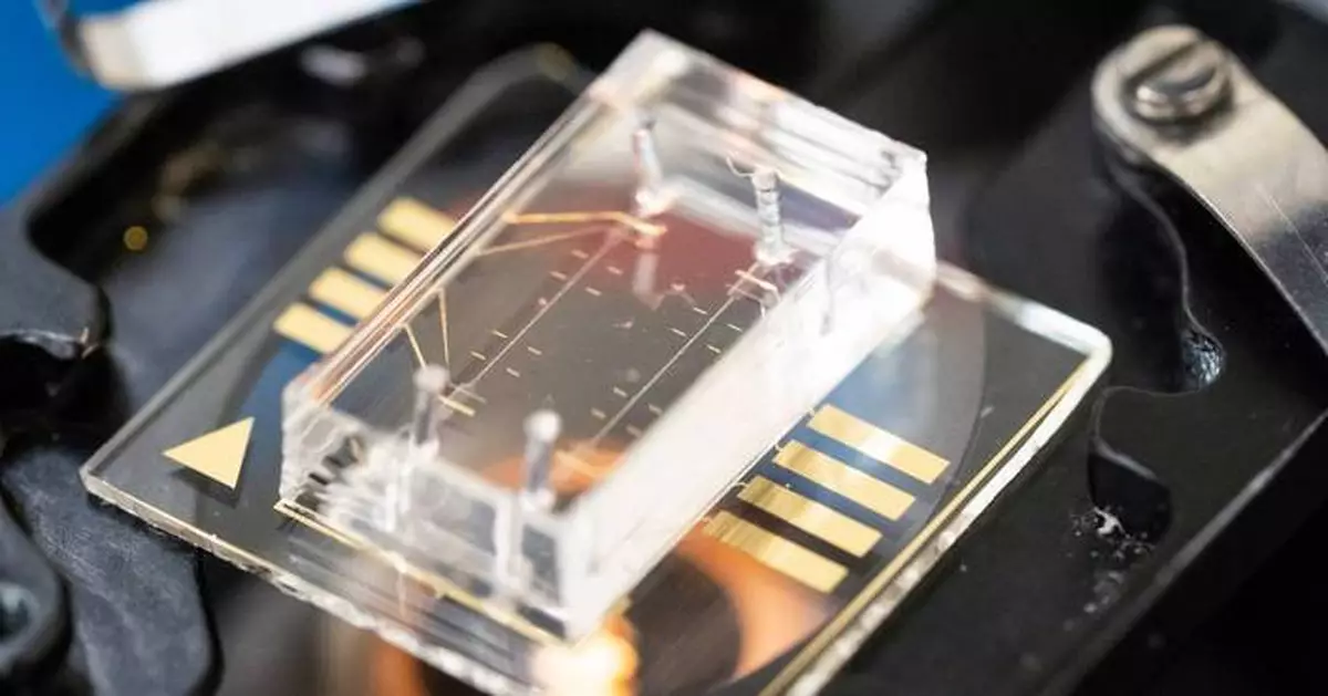 City of Hope and UC Berkeley Researchers Teach AI to Spot Cancer Risk by Squeezing Individual Breast Cells