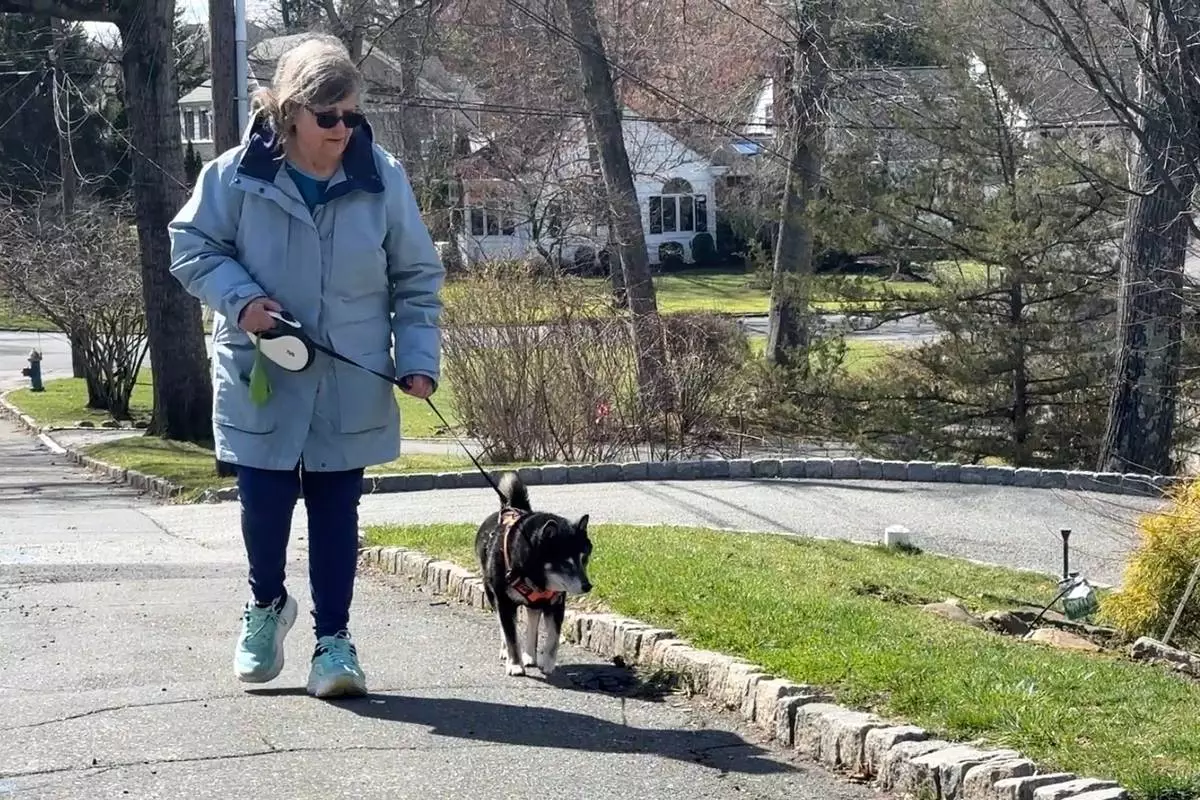 Retiree Barbara Baratta walks a dog, Duncan, in Short Hills, N.J. on March 17, 2026. (AP Photo/Cathy Bussewitz)