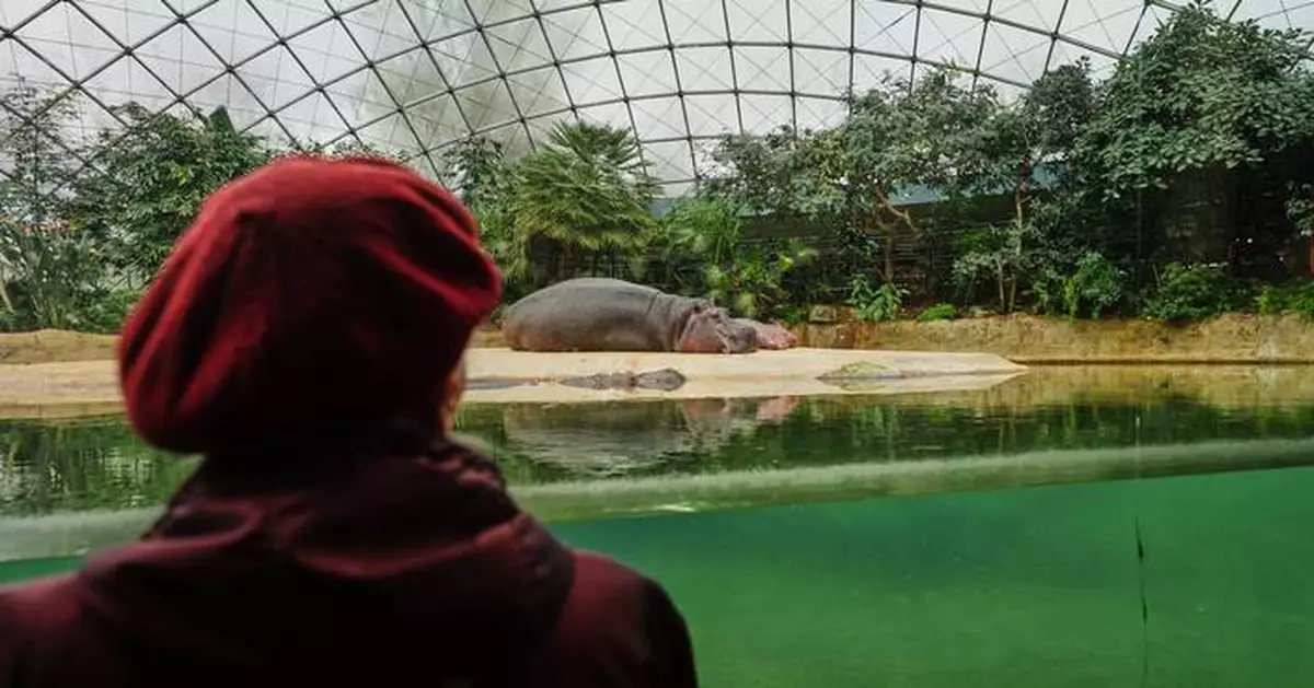A specialized tour at the Berlin Zoo brings joy to people living with dementia
