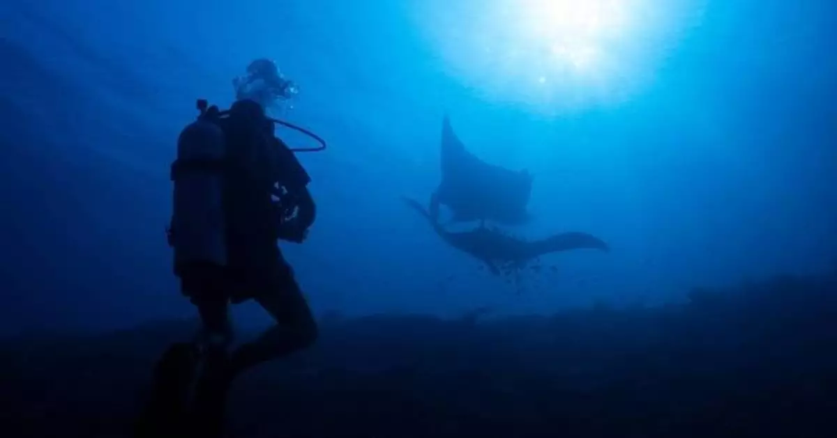 Ocean protections clash with mining pressure in Indonesia's most diverse marine ecosystem