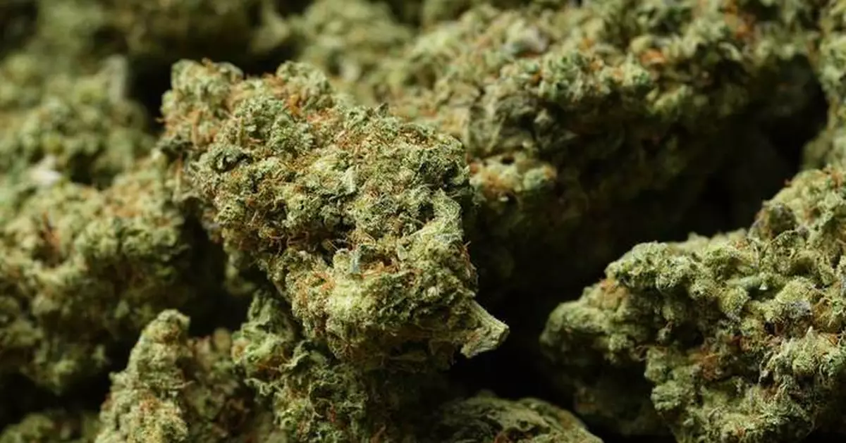 Reclassifying marijuana as a less dangerous drug might only be the first step for Trump