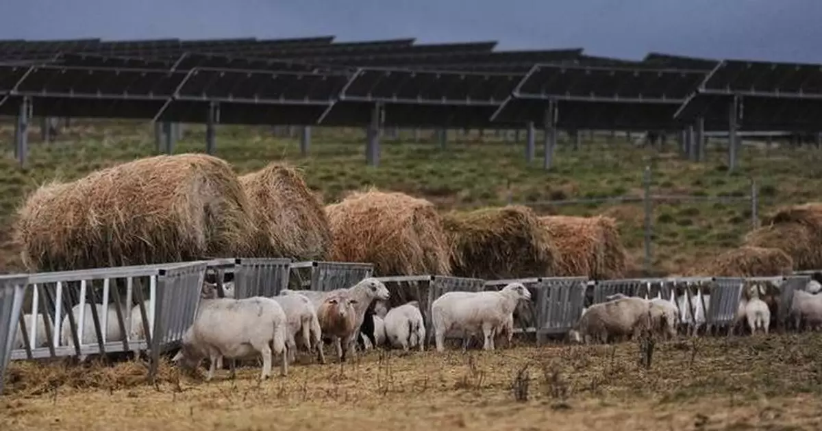 Takeaways from AP-Grist reporting on federal support for rural renewable energy