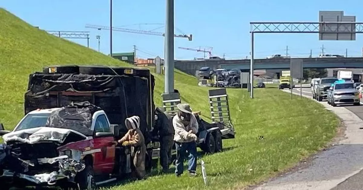 1 million bees make for bumper-to-buzzer traffic on a Tennessee highway ramp