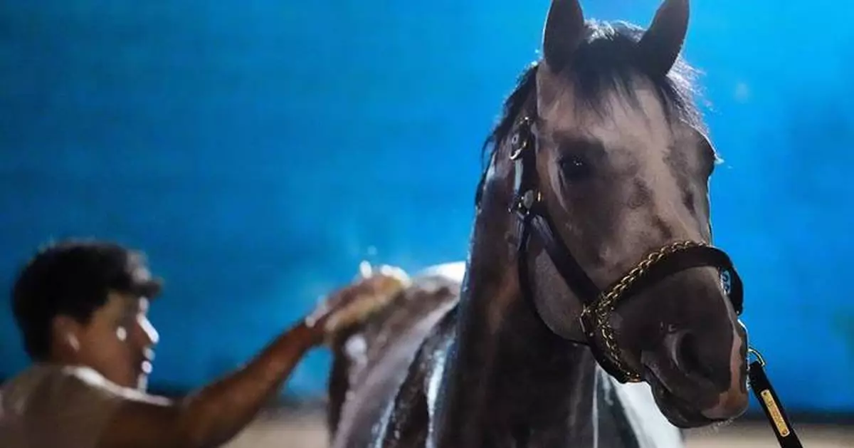 Fulleffort scratched from the Kentucky Derby, putting Ocelli into the race