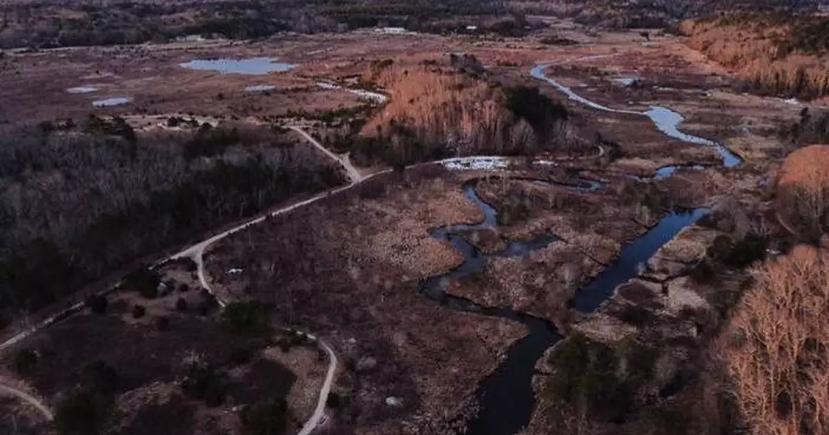 How a retired cranberry bog helped change the game for wetland restoration