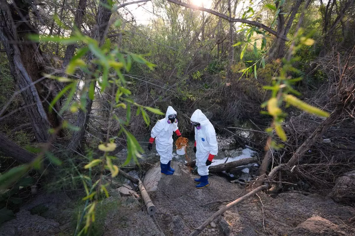 Trent Fry, right, and Leila El Masri collect a water sample of the Tijuana River, as part of a research team from the University of California, San Diego, Wednesday, March 11, 2026, in San Diego. (AP Photo/Gregory Bull)