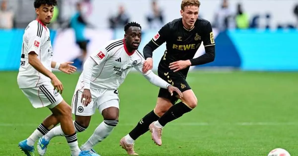 Fan dies after cardiac arrest at German Bundesliga soccer game