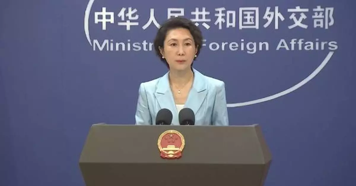 Combating online gambling, telecom fraud is shared global responsibility: spokeswoman