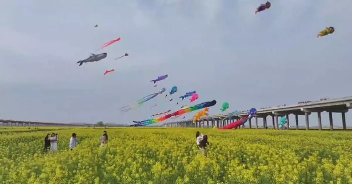 Spring flowers blooming across China, attracting more to go outdoors