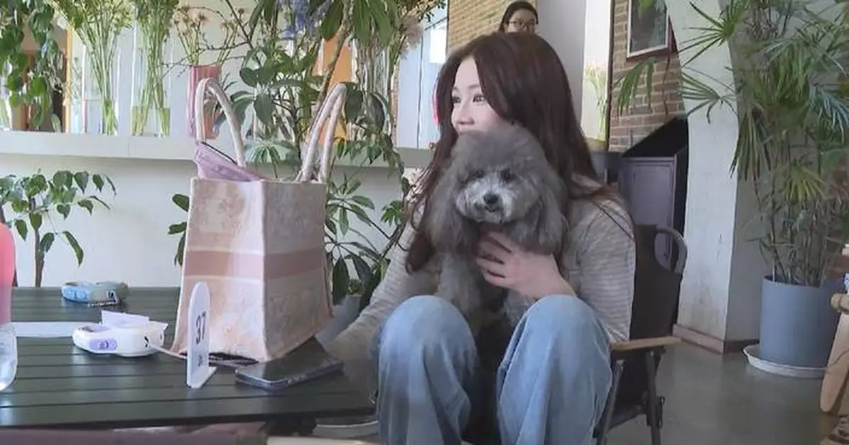 Pet-friendly stores in Beijing see rising customer flow