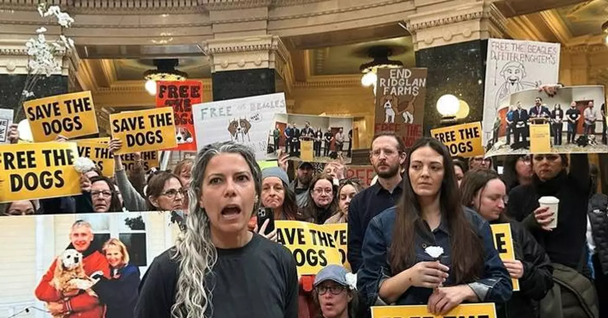 Animal welfare protesters converge on Wisconsin governor's office seeking release of beagles