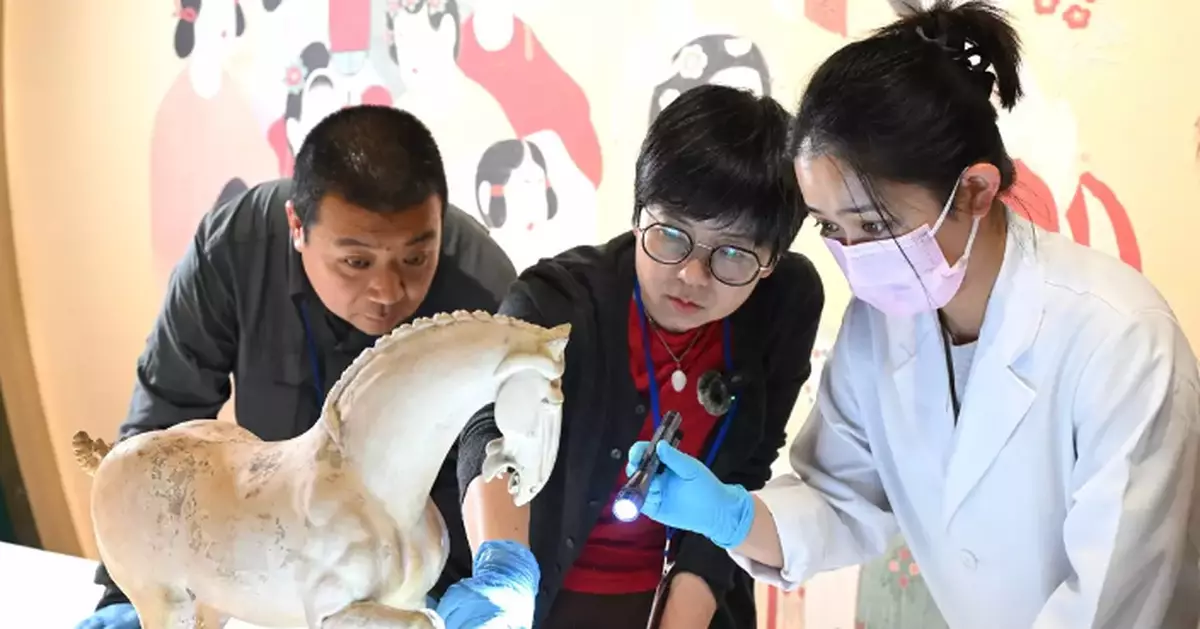 Explore the Glamour of Sui and Tang Dynasties at Hong Kong Museum of History's Exhibition