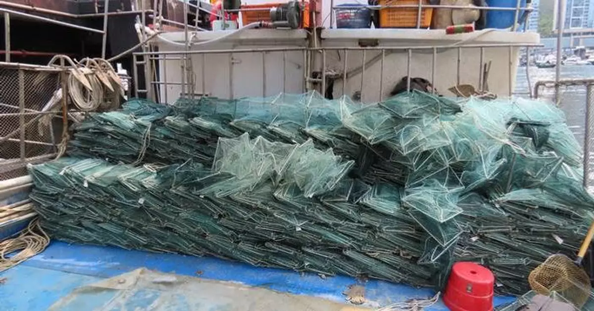 Charges Filed Against Fishermen for Illegal Fishing with Snake Cages Near Lamma Island