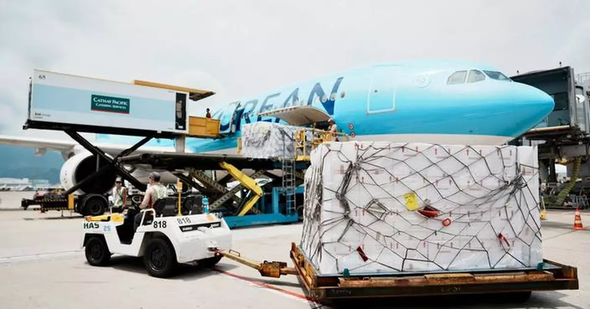 First Live Lobster Shipment via Fresh Lane: Seamless Delivery from Canada to Macao