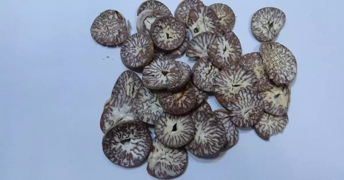 Health Department Orders Recall of Contaminated Chinese Herbal Medicine Due to Aflatoxin Concerns