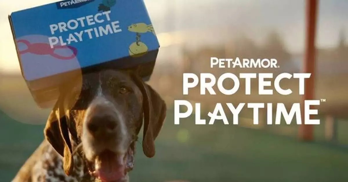 Amazon’s AI-Powered Tool Matches Dogs and Cats with Potential Adopters