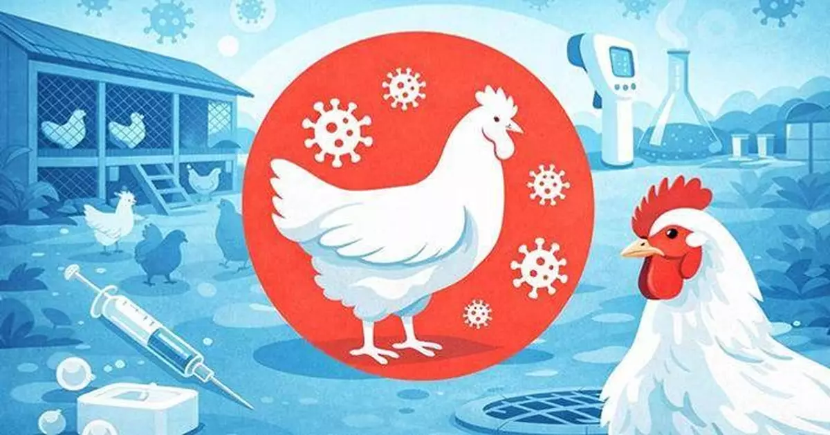 Hong Kong Suspends Poultry Imports from Poland Due to H5N1 Avian Influenza Outbreak