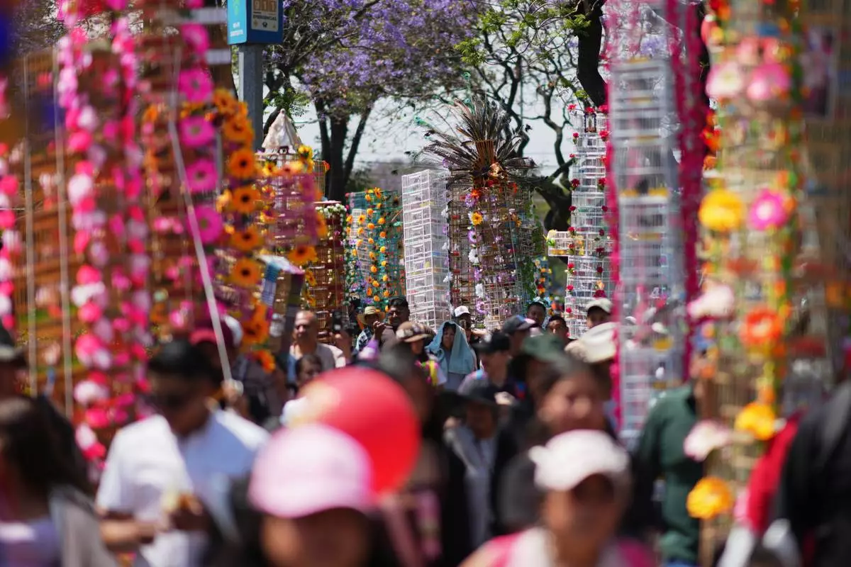 FILE - People walk with decorated bird cages during an annual pilgrimage of bird vendors to the Basilica of Guadalupe in Mexico City, March 29, 2026. (AP Photo/Eduardo Verdugo, File)