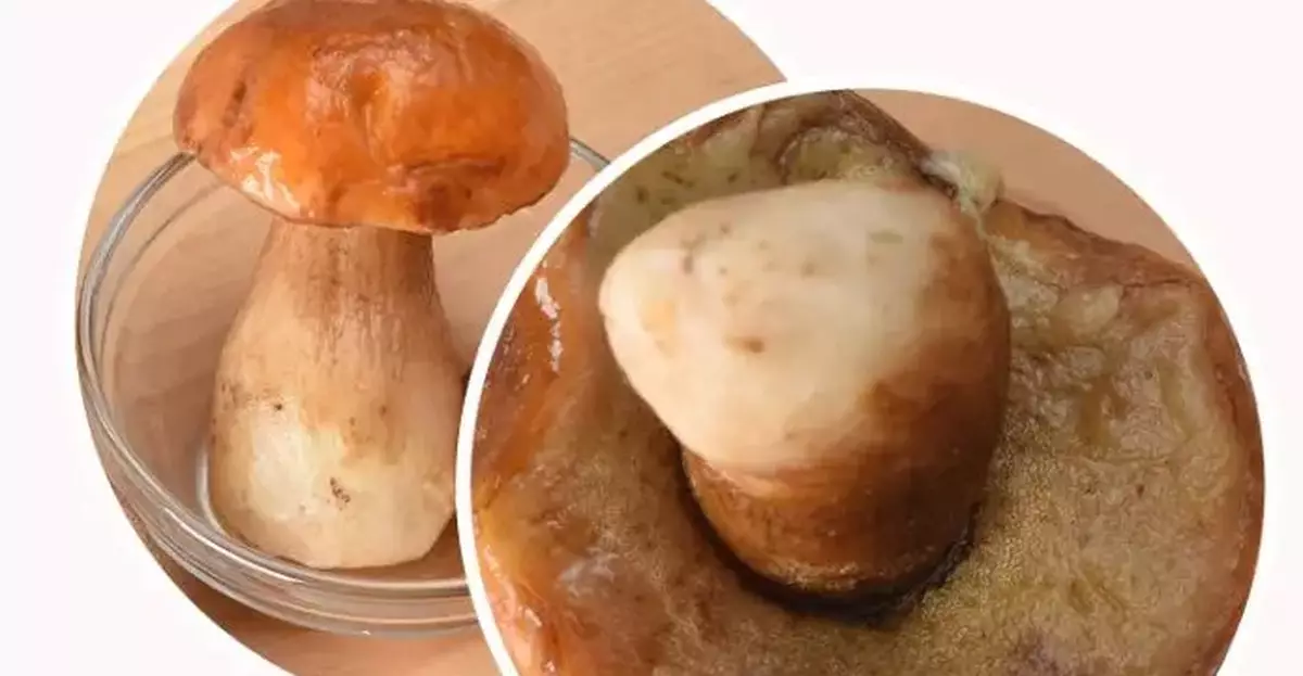 CHP Investigate Food Poisoning Cases Linked to Porcini Mushrooms; Public Urged to Buy from Reputable Sources