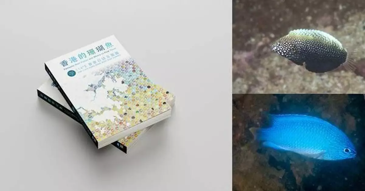 Fantastic Reef Fishes and Where to Find Them:  A New Field Guide Celebrates and Documents Hong Kong’s Reef Fish Diversity with 422 Species