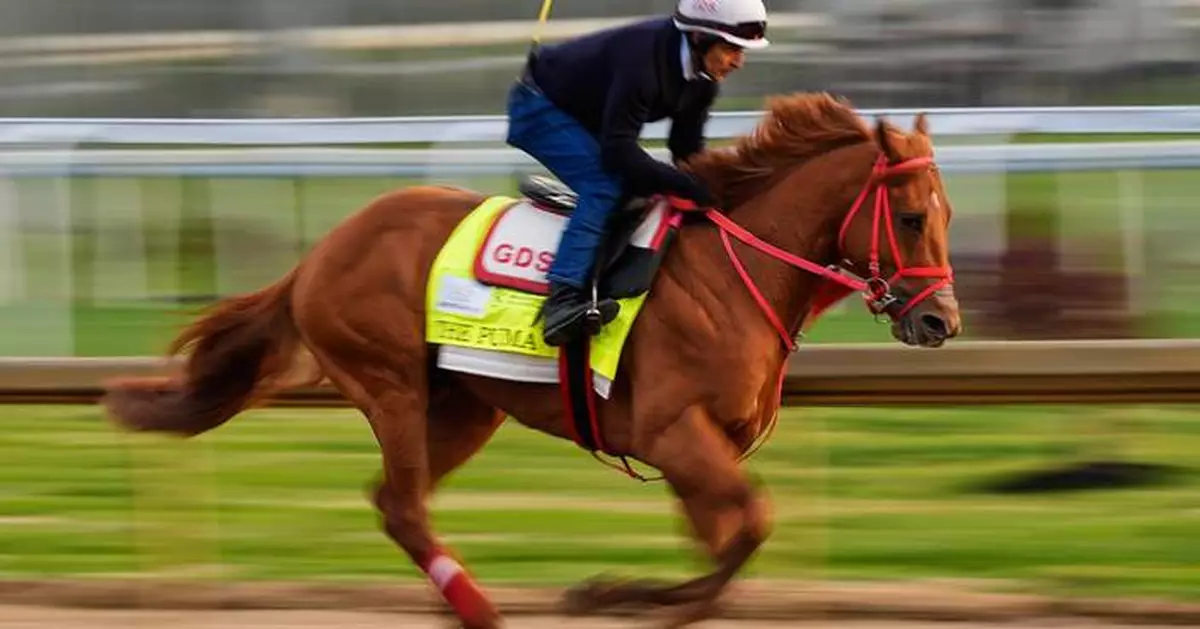 Kentucky Derby is down to 19 horses after The Puma gets scratched