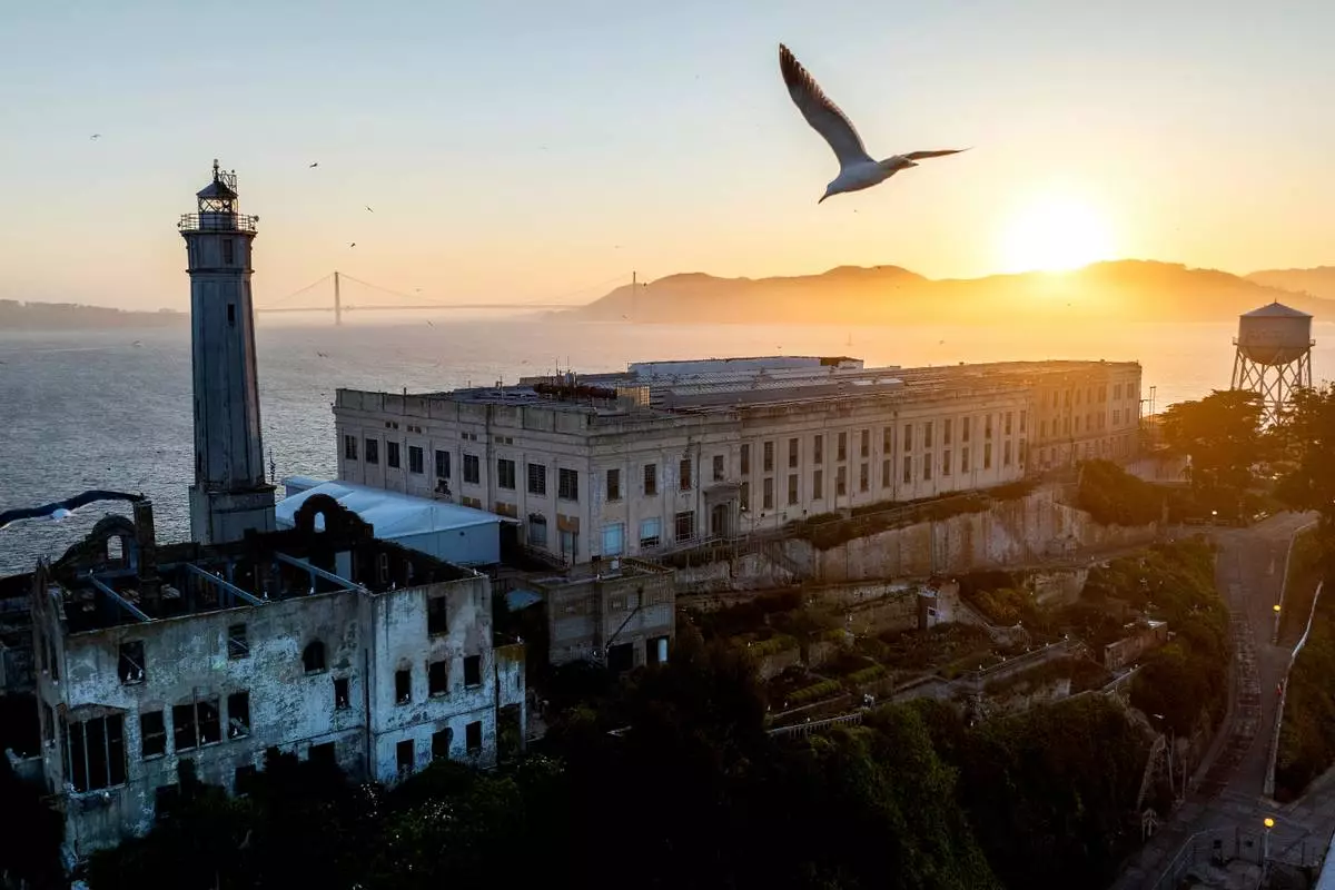 FILE - A bird flies above Alcatraz Island, May 4, 2025, in the San Francisco Bay, Calif. (AP Photo/Noah Berger, File)