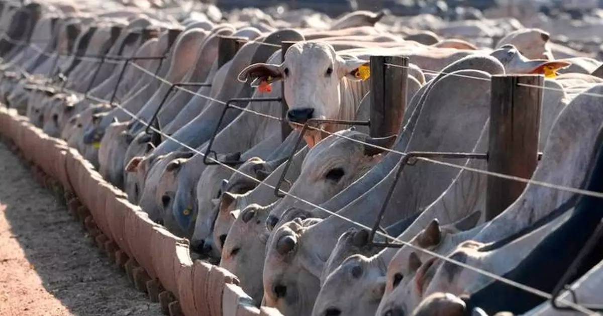 Brazil says the EU has moved to block its animal product exports starting from September