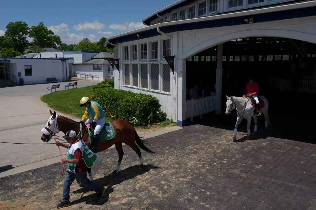 Jockeys ride horses out of the paddock during Laurel Park's Preakness Meet, Friday, May 8, 2026, in Laurel, Md. (AP Photo/Julia Demaree Nikhinson)