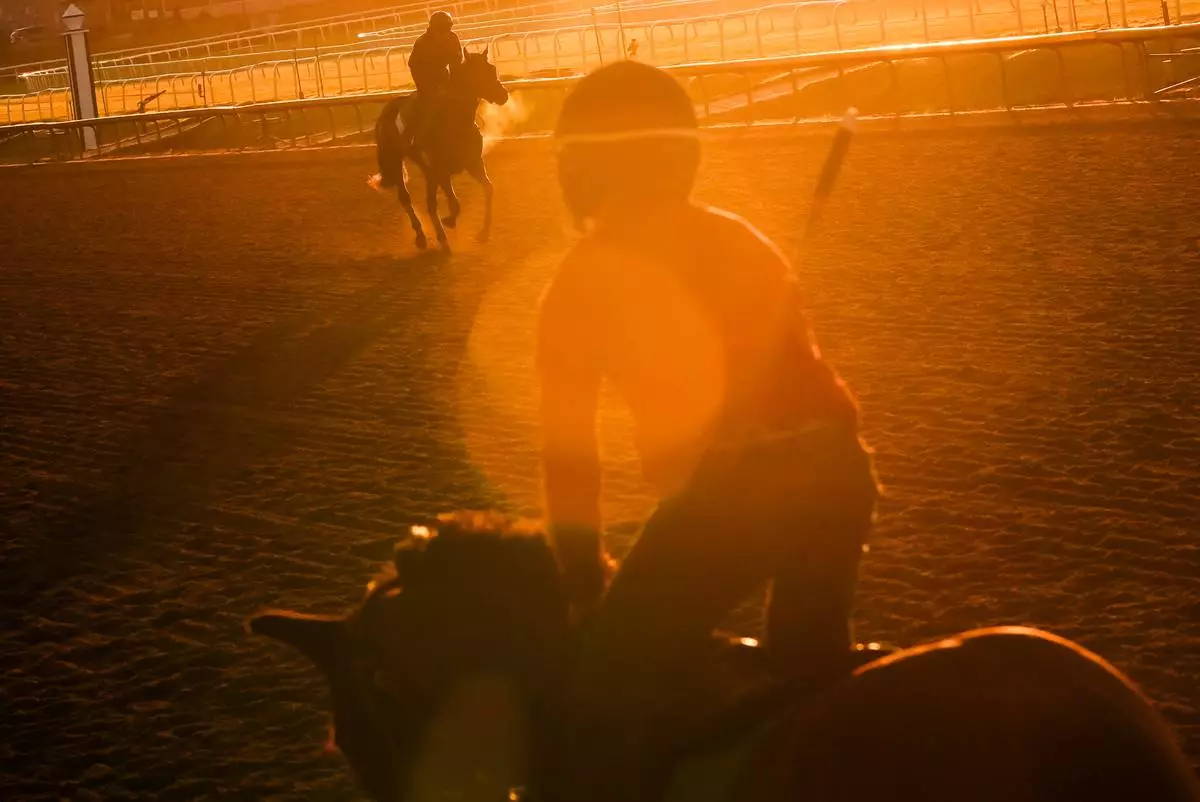 Horses work out at Laurel Park during sunrise, Friday, May 8, 2026, in Laurel, Md. (AP Photo/Julia Demaree Nikhinson)