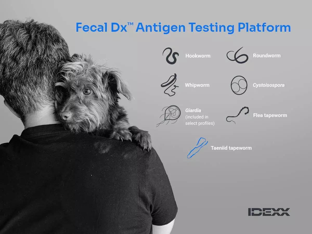 IDEXX Fecal Dx™ antigen testing platform menu
