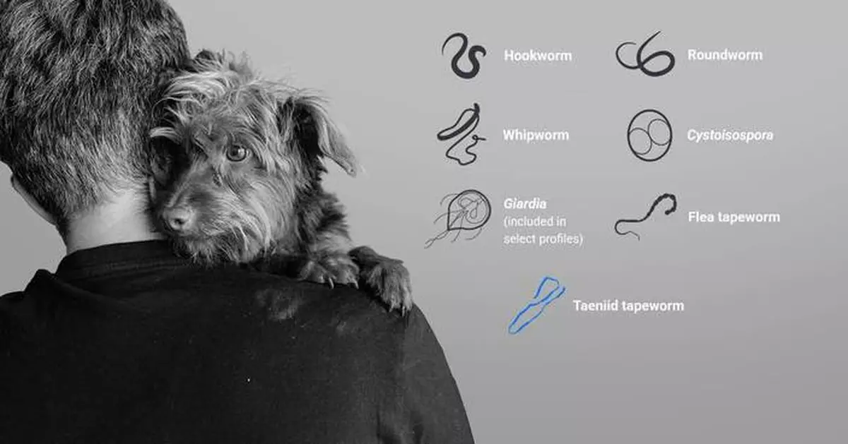 IDEXX Expands Fecal Dx Antigen Testing Platform with Taeniid Tapeworm Detection