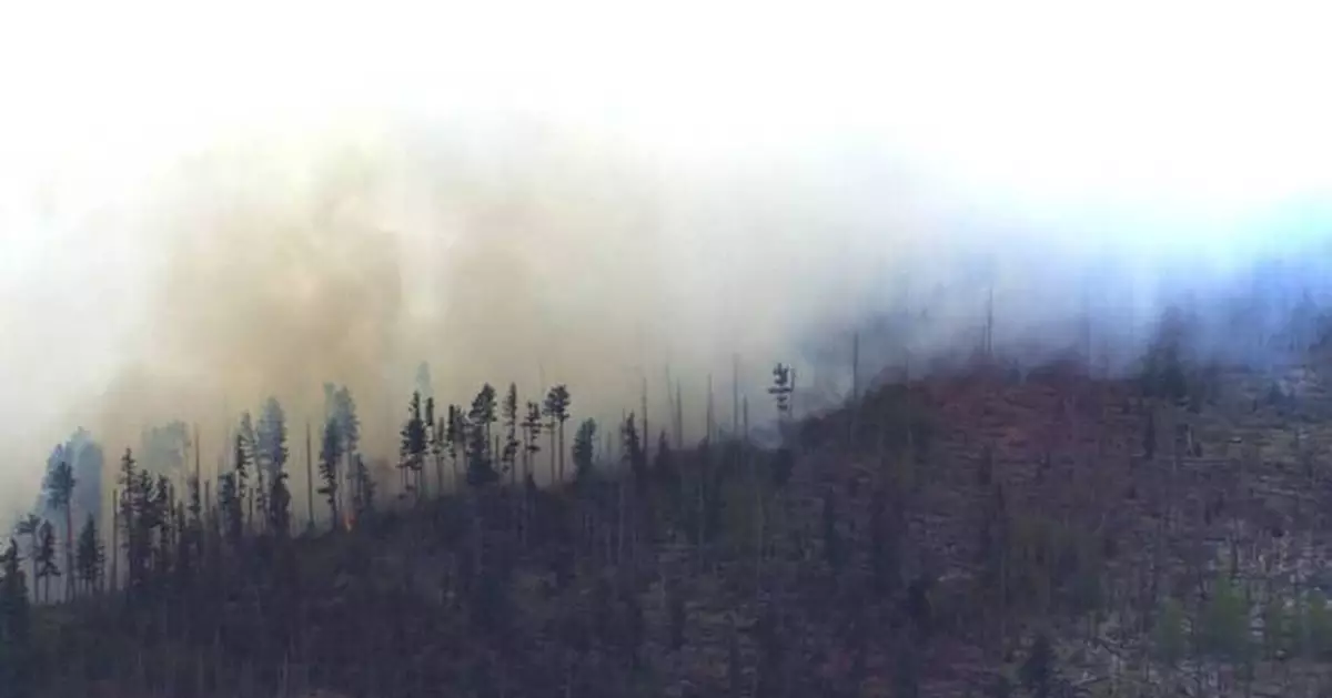 Small medical plane crashes in New Mexico mountains, killing all 4 people aboard