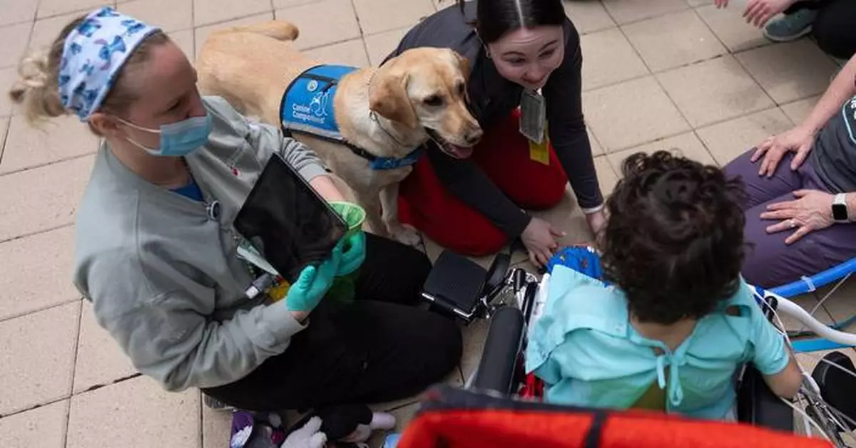 Healing with a wag and a nuzzle, meet the dogs brightening hospital days, in photos