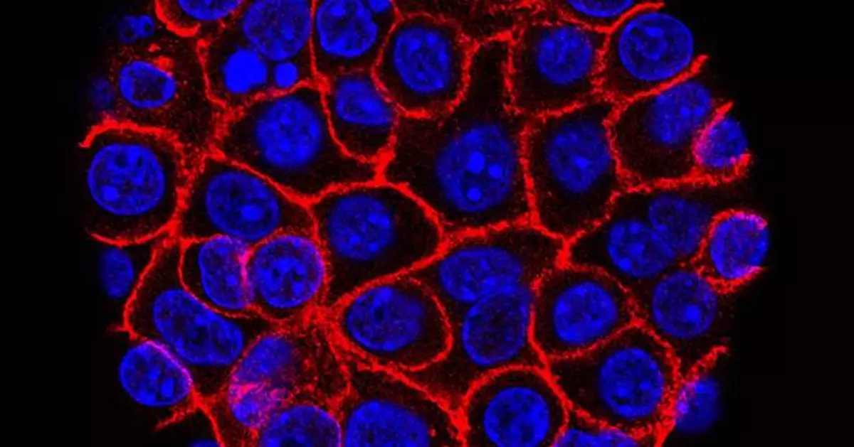 Experimental pill promises new hope for deadly pancreatic cancer