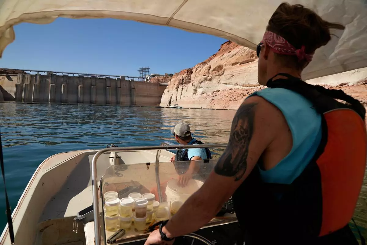 FILE - Utah State University master's student Barrett Friesen steers a boat near Glen Canyon dam on Lake Powell on June 7, 2022, in Page, Ariz. (AP Photo/Brittany Peterson, File)