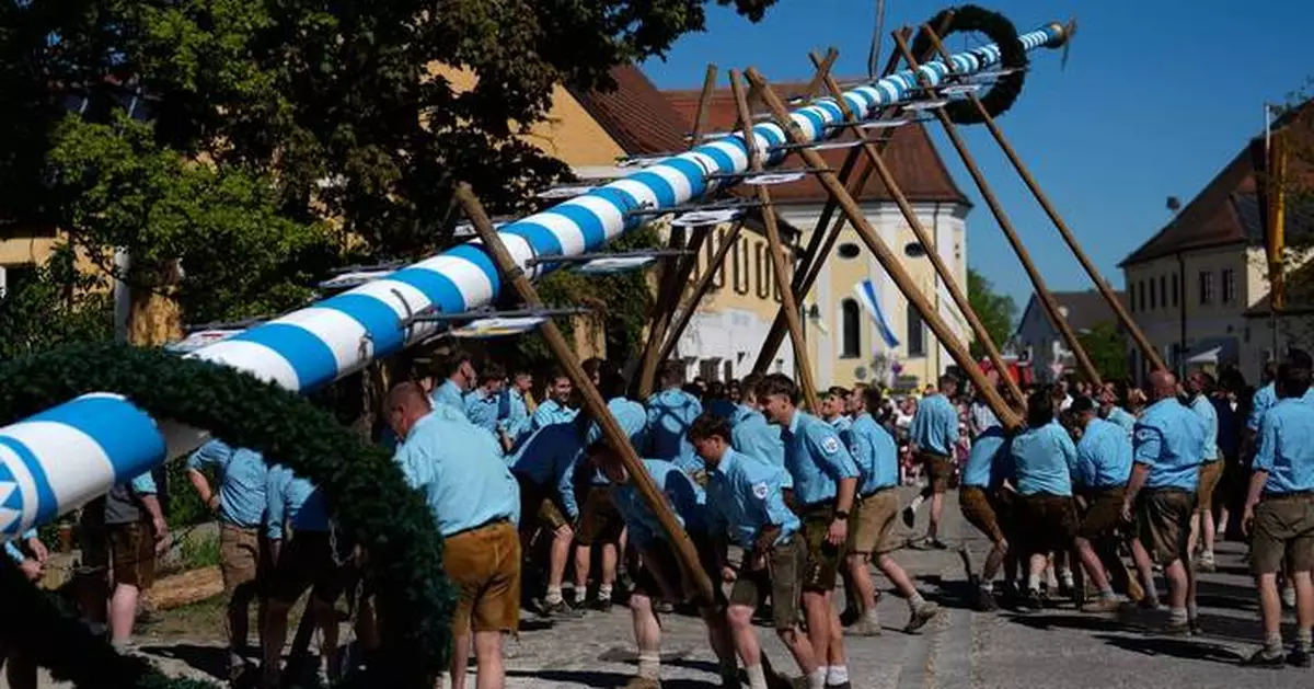 Beer, music and shouts of 'Hau-Ruck' as a Bavarian village raises its new maypole