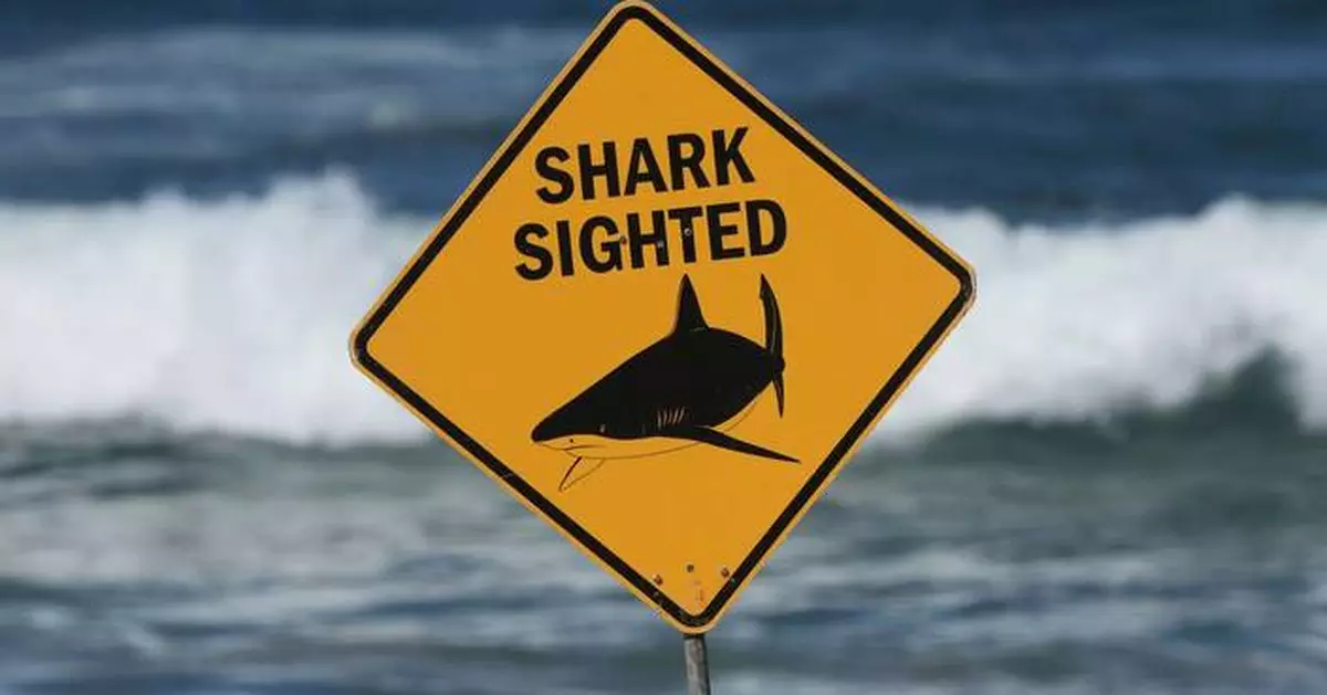 Spearfisher mauled on Great Barrier Reef in Australia's second fatal shark attack in a week