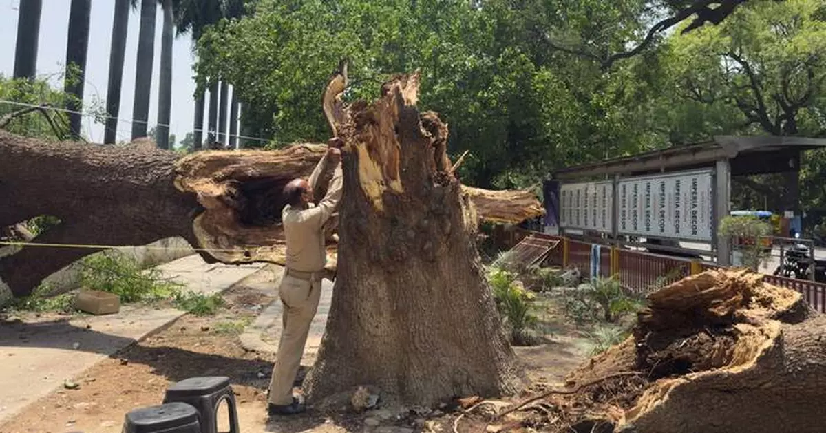 Dust storms and lightning kill at least 96 people in northern India